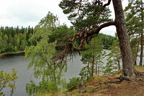 Берег малая