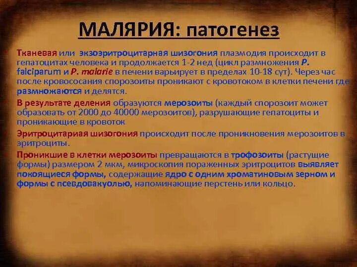 Ранние рецидивы при малярии это рецидивы наступающие. Патогенез малярии. Тропическая малярия этиология. Малярия этиология патогенез. Патогенез трехдневной малярии.