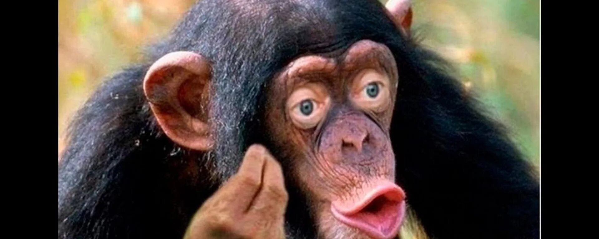 i?id=4e37d0e0cb0fa8758c266a9098e2083a_l-