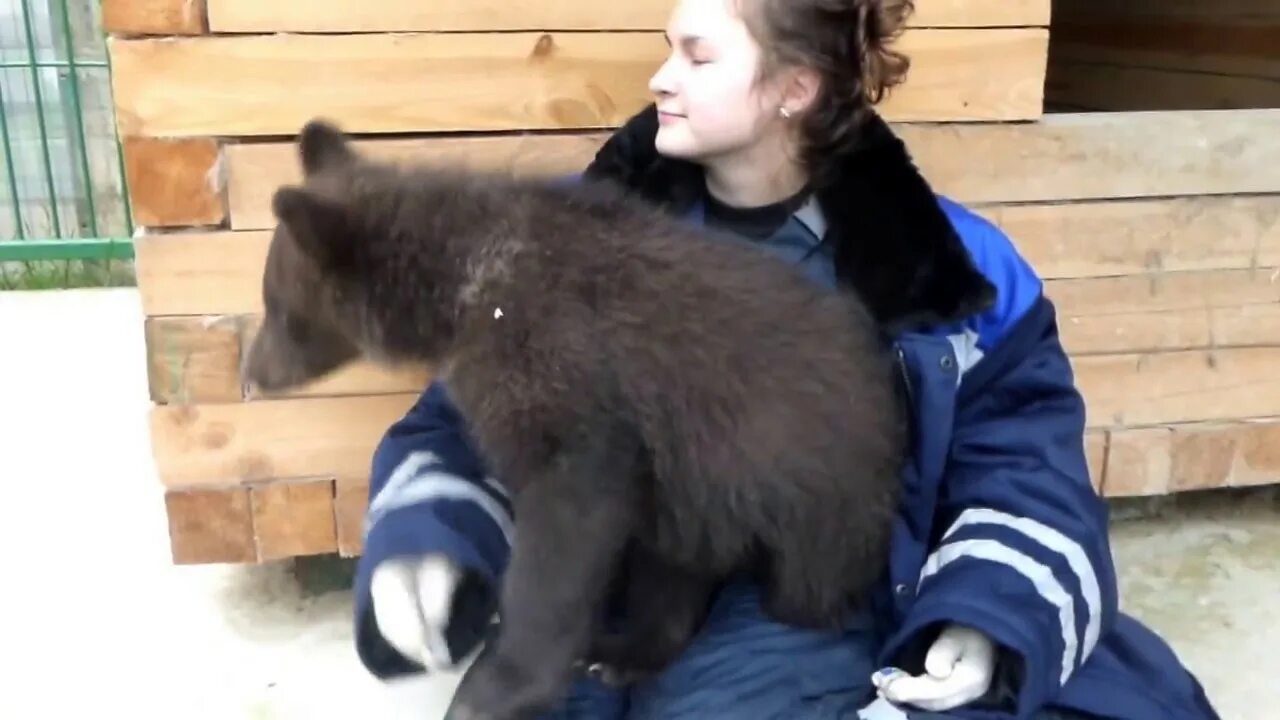 Центр спасения диких животных