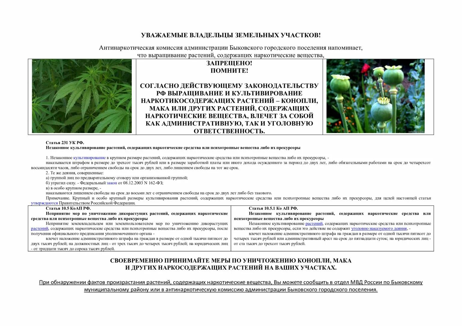 Растения содержащие психотропные вещества. По обороту наркотических средств. Ст 229. Наркотические преступления. Сертификат специалиста по культивированию наркосодержащих растений.