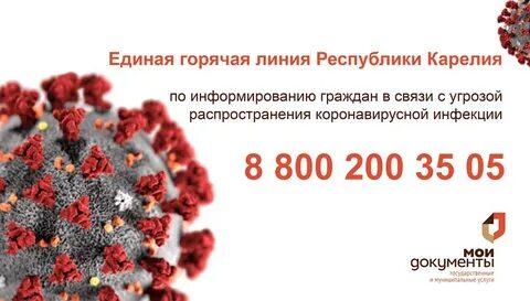 Единая горячая