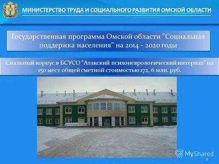 Программа омская область