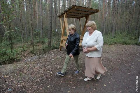 Тропа здоровья череповец зашекснинский