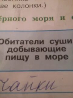Обитатели суши добывающие пищу в море черном