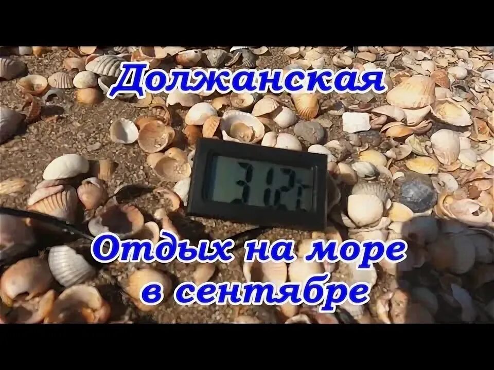 Пляж коралл должанская. Погода должанская по часам. Виндсерфинг в крыму. Погода должанская по часам. Станица должанская 2021.