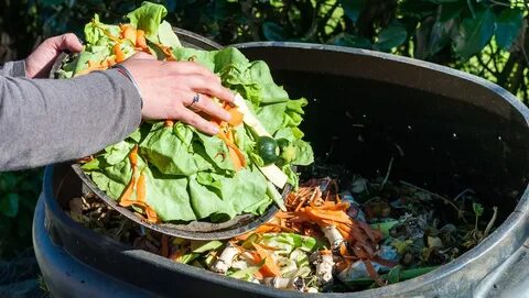 Кухонные отходы