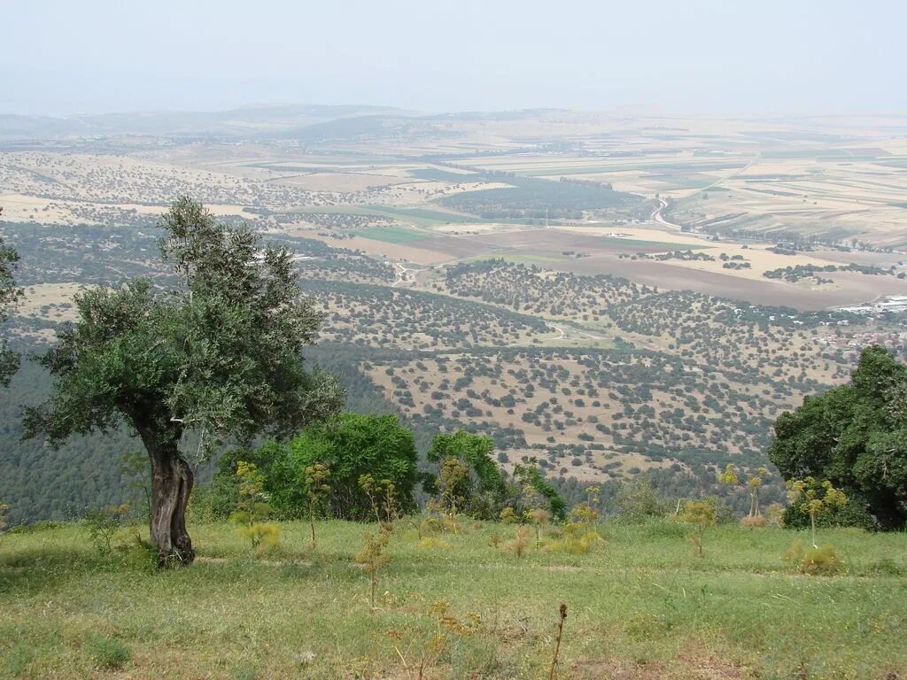 Гора фавор преображение господне. Гора фавор израиль монастырь преображения господня. Гора фавор облако. Гора фавор израиль. Гора фавор израиль.