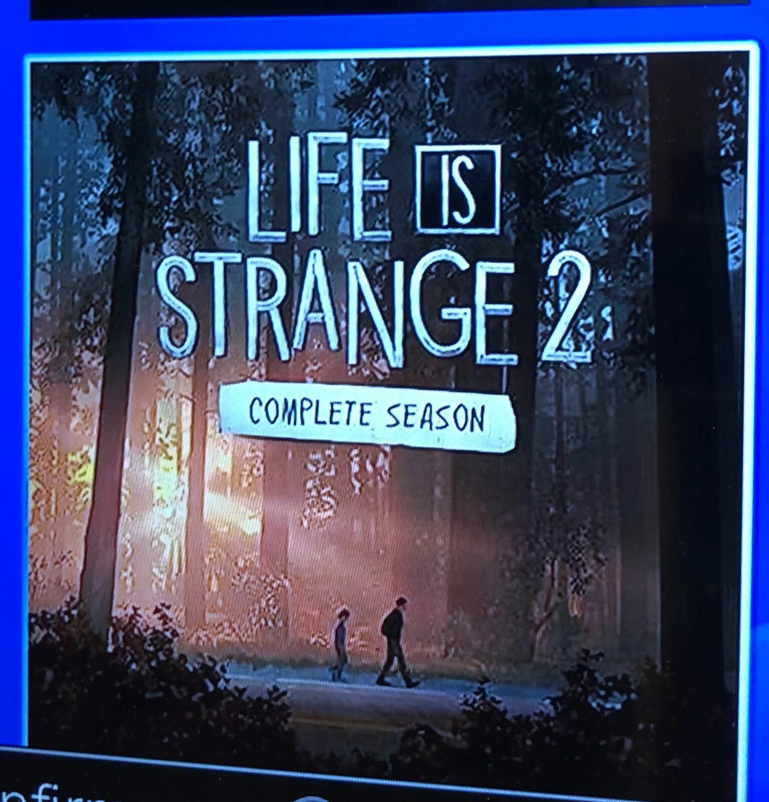 Life Strange 2 обложка. Лайф из Стрэндж обложка. Life is Strange обложка игры.