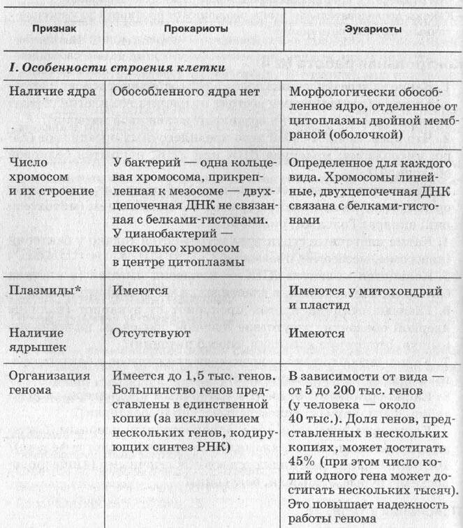 Наличие ядра прокариоты. Строение эукариотических клеток таблица строение и функции. Характеристика и функции эукариотической клетки. Структуры эукариотической клетки таблица. Строение и функции эукариотической клетки таблица.