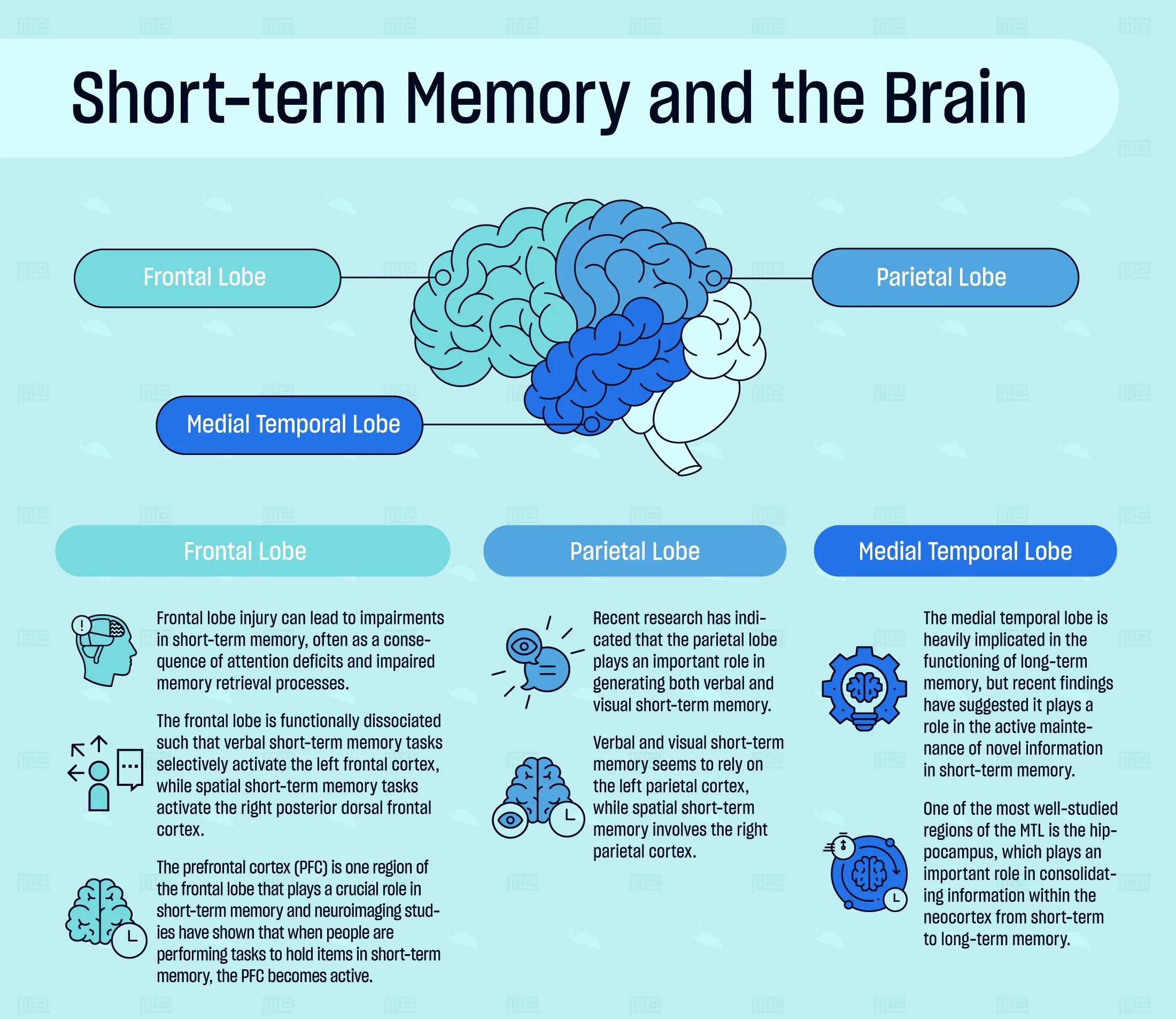 Short memory. Short term. Short-term Memory, and long-term Memory. Long short term Memory. Short term Memory vs long term Memory.