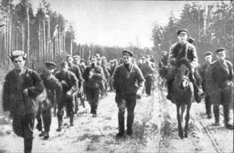 Песня ангольских партизан