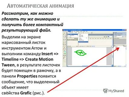 Область экрана выделенная программе