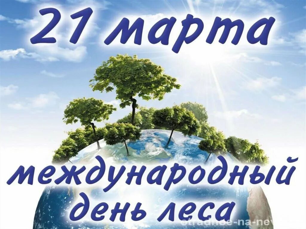 21 международный день леса. День леса. Акция Международный день леса.