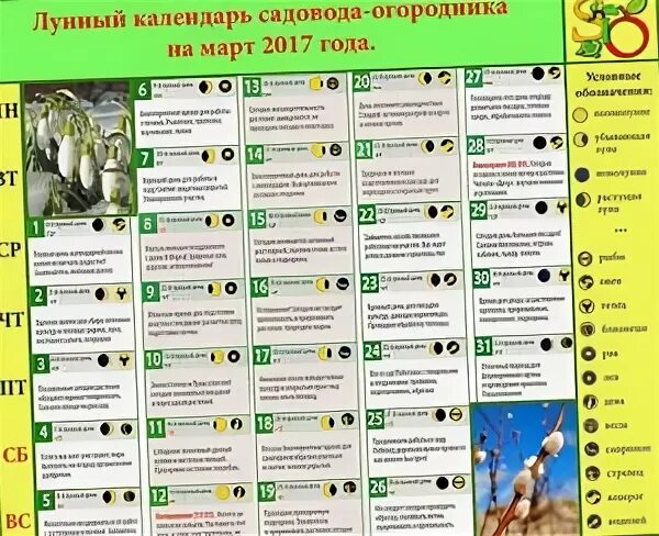 Лунный календарь садовода огородника март 24 года