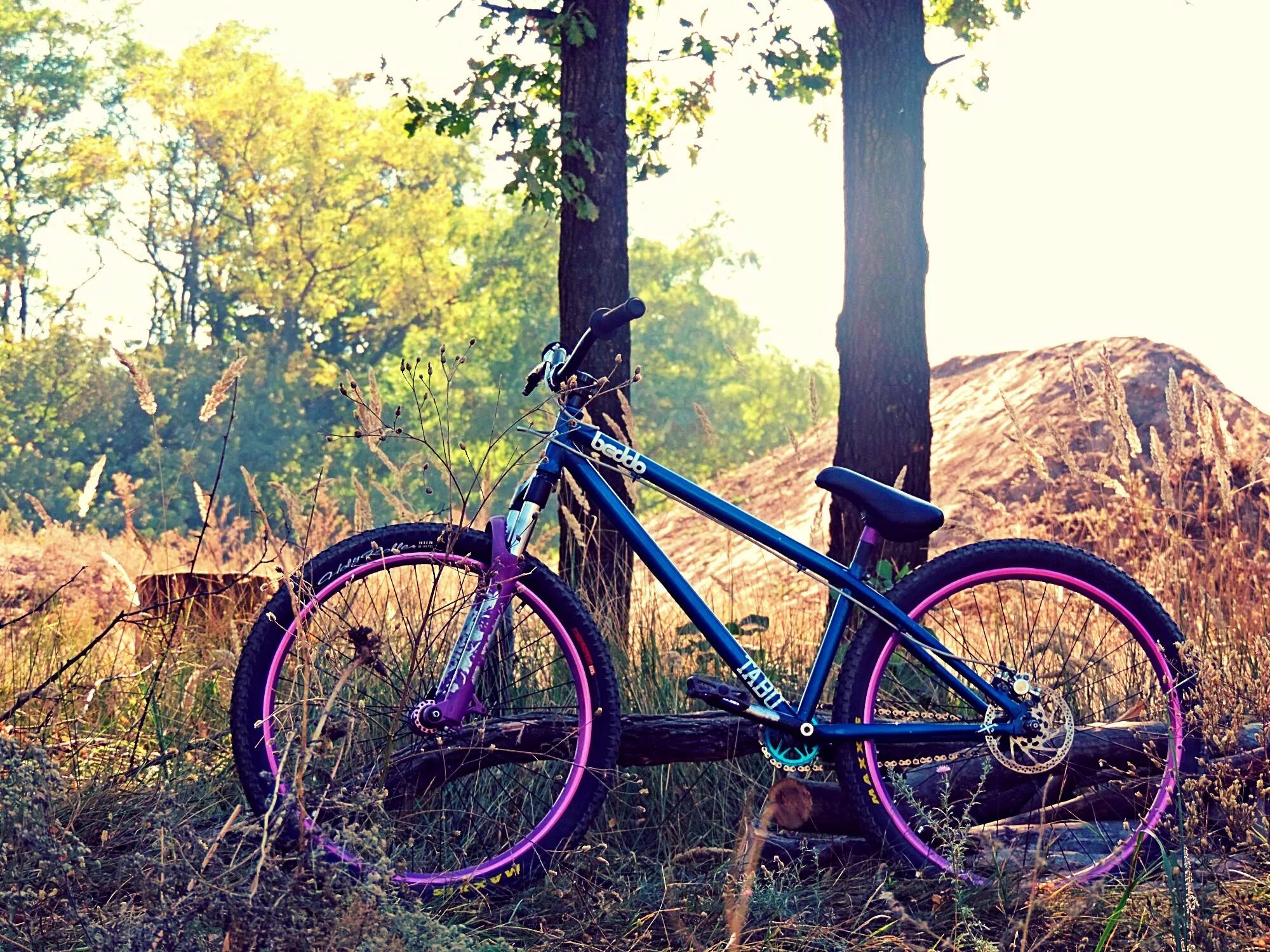 Mtb bike. Велосипед трюковый МТБ. МТБ хардтейл дерт. МТБ велосипед трюковой. МТБ велосипед фиолетовый.