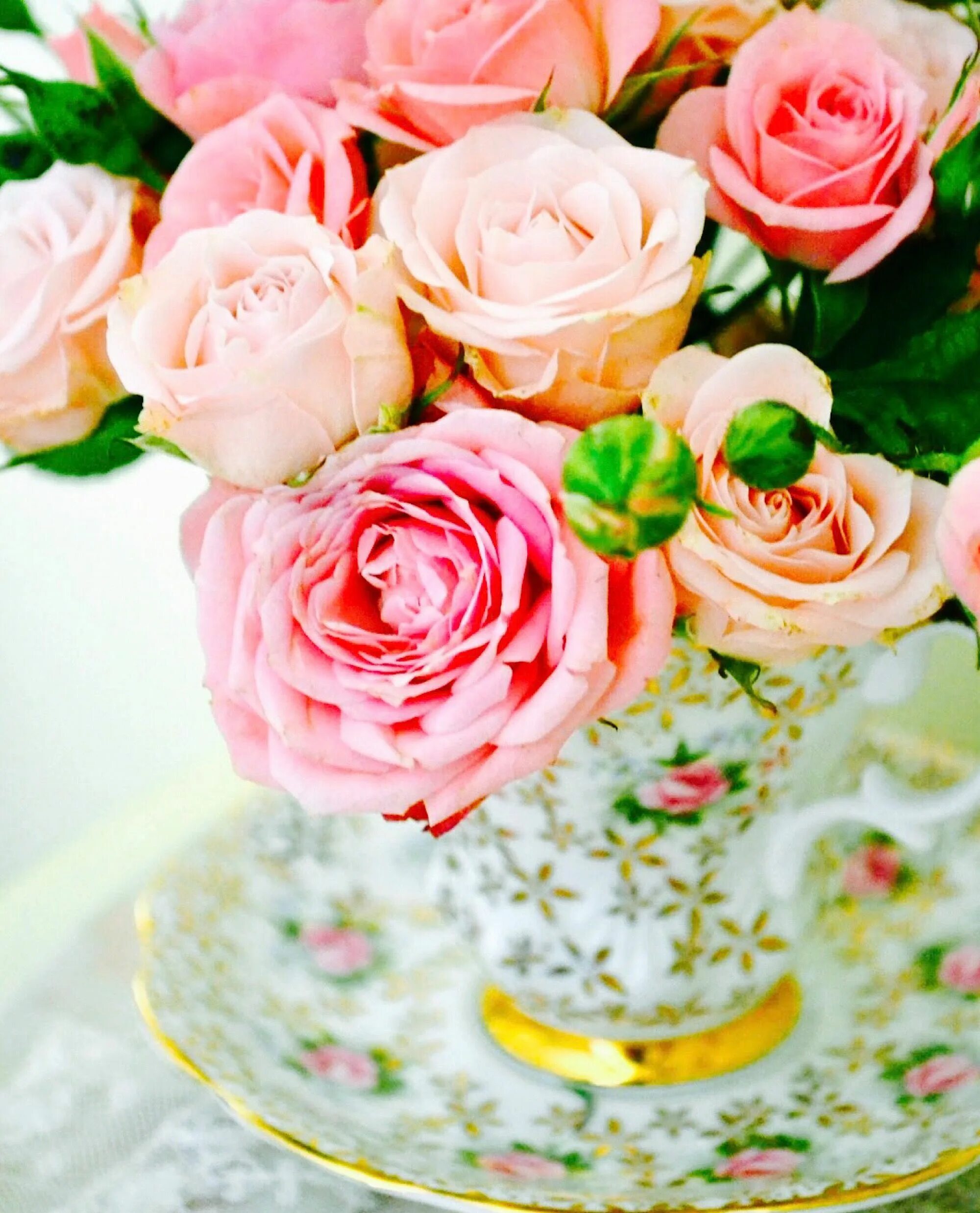 Доброго дня нежные цветы. Нежный букет. Роскошные цветы. Шикарные цветы. Нежные розы.
