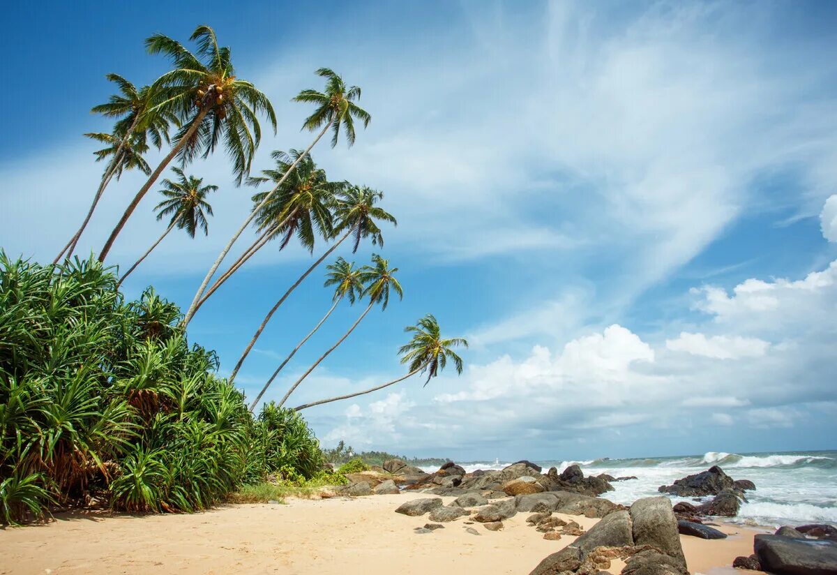 Погода на шри ланке в июле. Тропический год. Шри Ланка экскурсии. Шри Ланка летом. Шри Ланка в декабре.