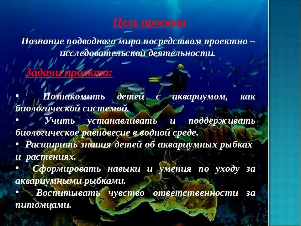 Подводный мир описание. Подводный мир описание. Проект на тему подводный мир. Презентация на тему подводный мир. Презентация на тему подводный мир.
