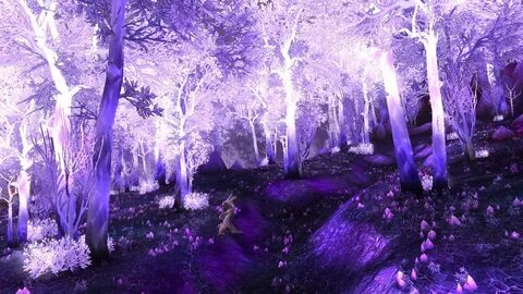 Crystal_forest