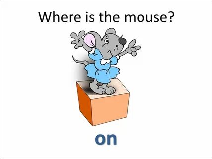 Where is the pictures