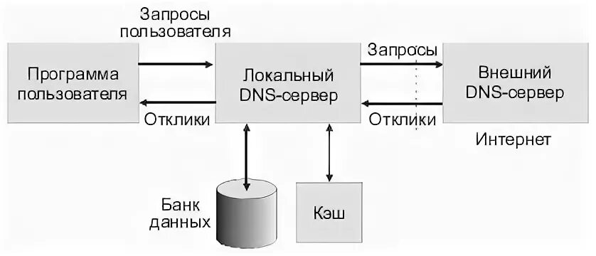 Обработка запросов пользователя. DNS протокол картинка структура. Схема порядка обработки запроса ДНС сервером. Ad динамических протоколов. Протокол относится к группе