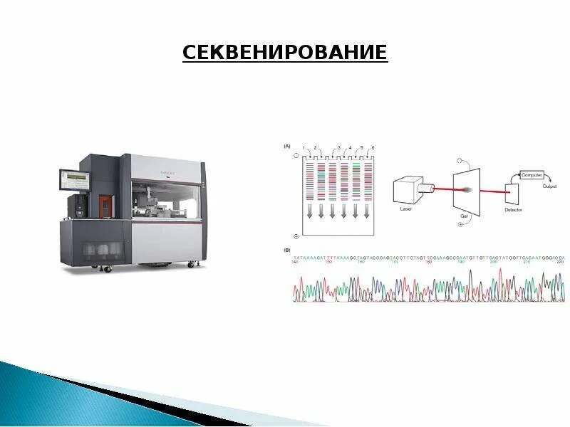 Секвенирование презентация. Ngs (высокопроизводительное секвенирование) красивая картинка. узлы ngs секвенатора.