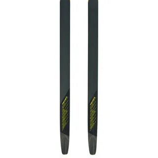 Fischer black