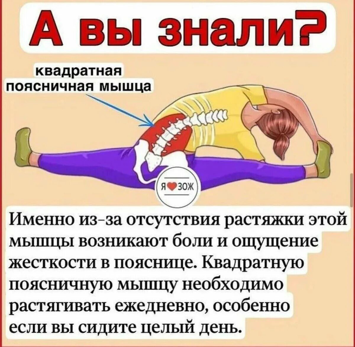 Как расслабить подвздошно поясничную мышцу. Растянуть подвздошно-поясничную мышцу. Растяжка подвздошно поясничной мышцы упражнения. Как расслабить подвздошно поясничную мышцу. Расслабление подвздошно-поясничной мышцы.