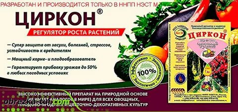 Циркон на 10 литров