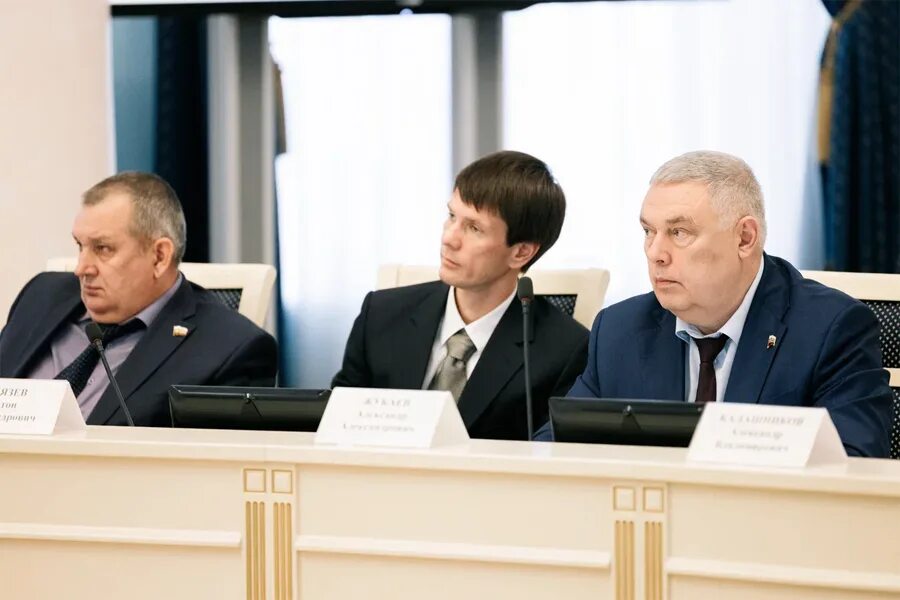 На приют для безнадзорных животных в Рязани выделят четыре миллиона рублей - Нов