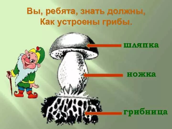 Гриб группа слов. Задания по теме грибы. Лексическая тема грибы в средней группе. Задания по теме грибы в средней группе. Задания по лексической теме грибы.