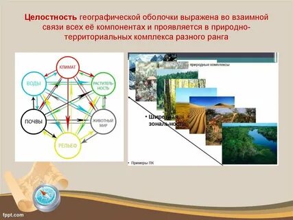 Примеры взаимосвязи компонентов природы