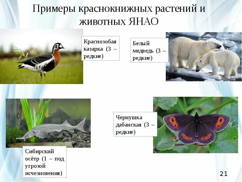 Презентации , контрольные и самостоятельные работы и т.д - начальные классы, про