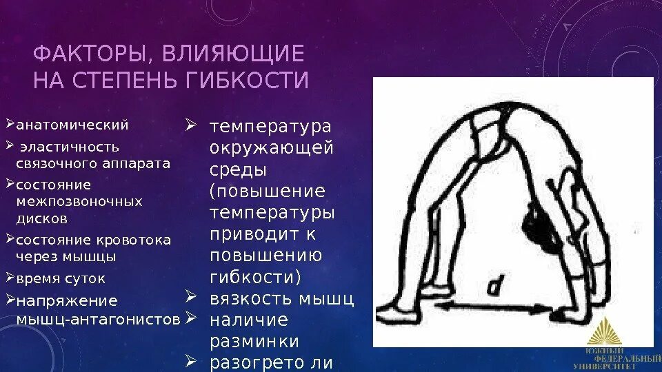Физические упражнения по биомеханической структуре движения