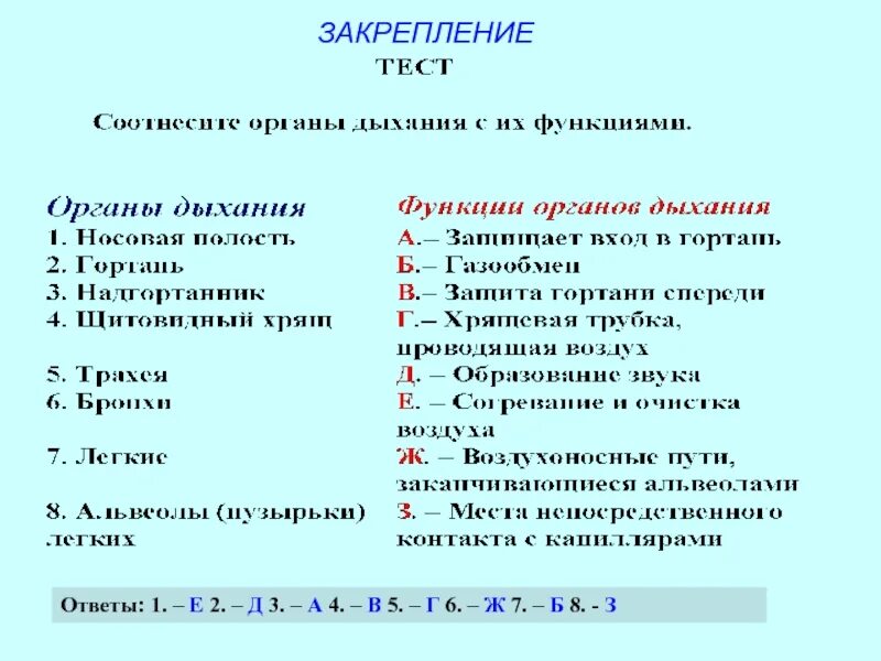 Тест по дыханию 8 класс