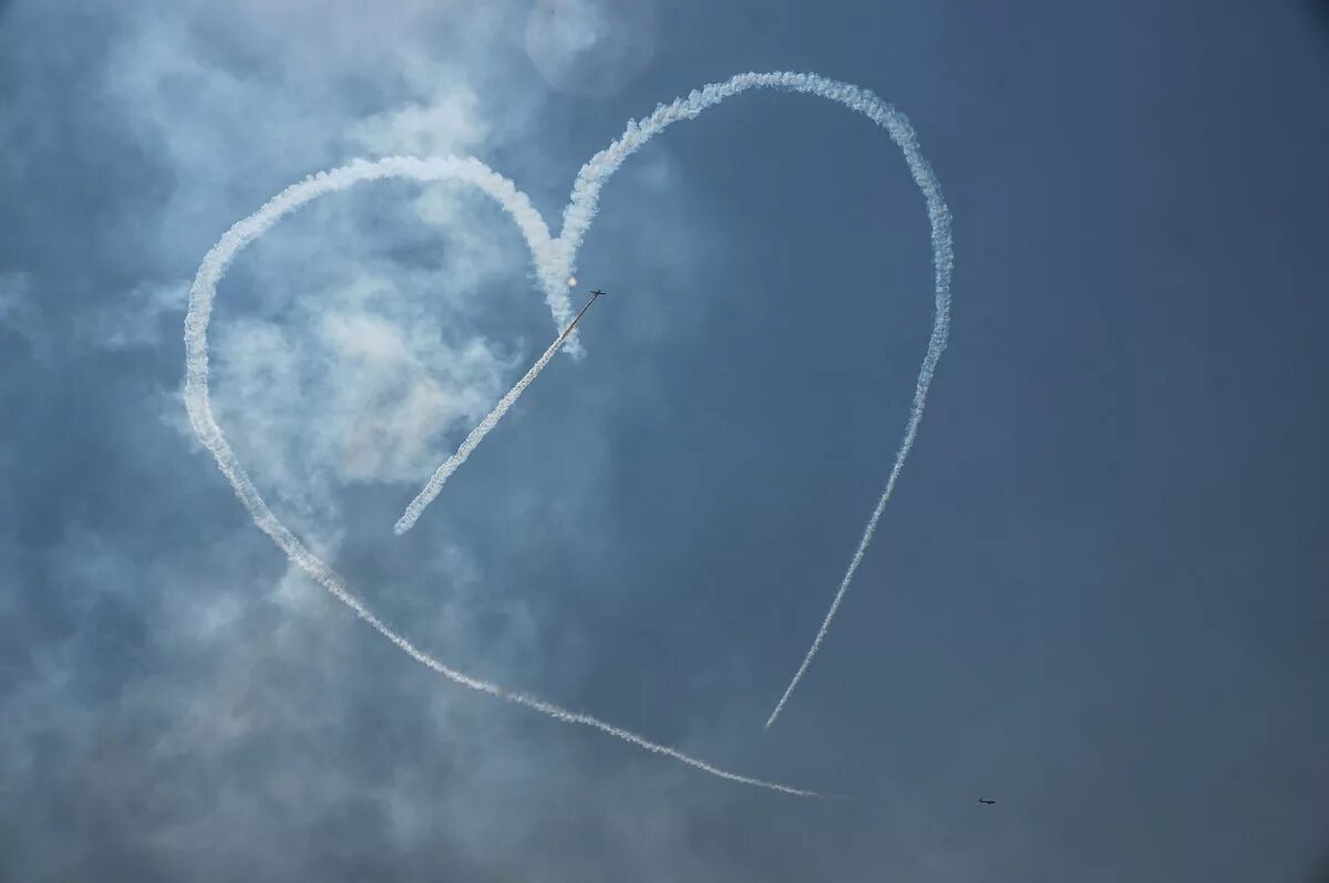 человеческое сердце арт. сердце насквозь. окровавленное сердце человека. сердечно сосудистая система. сердце насквозь.