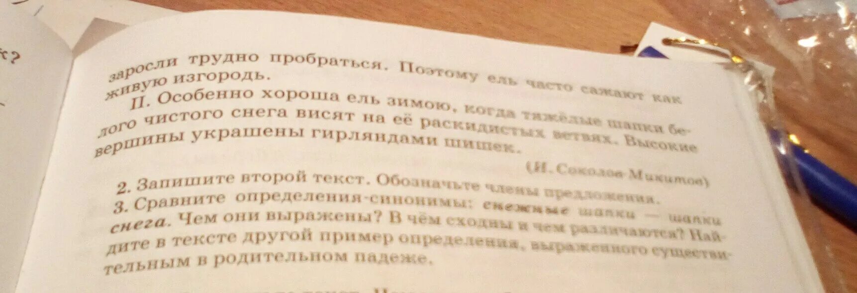 Прочитай текст какое предложение