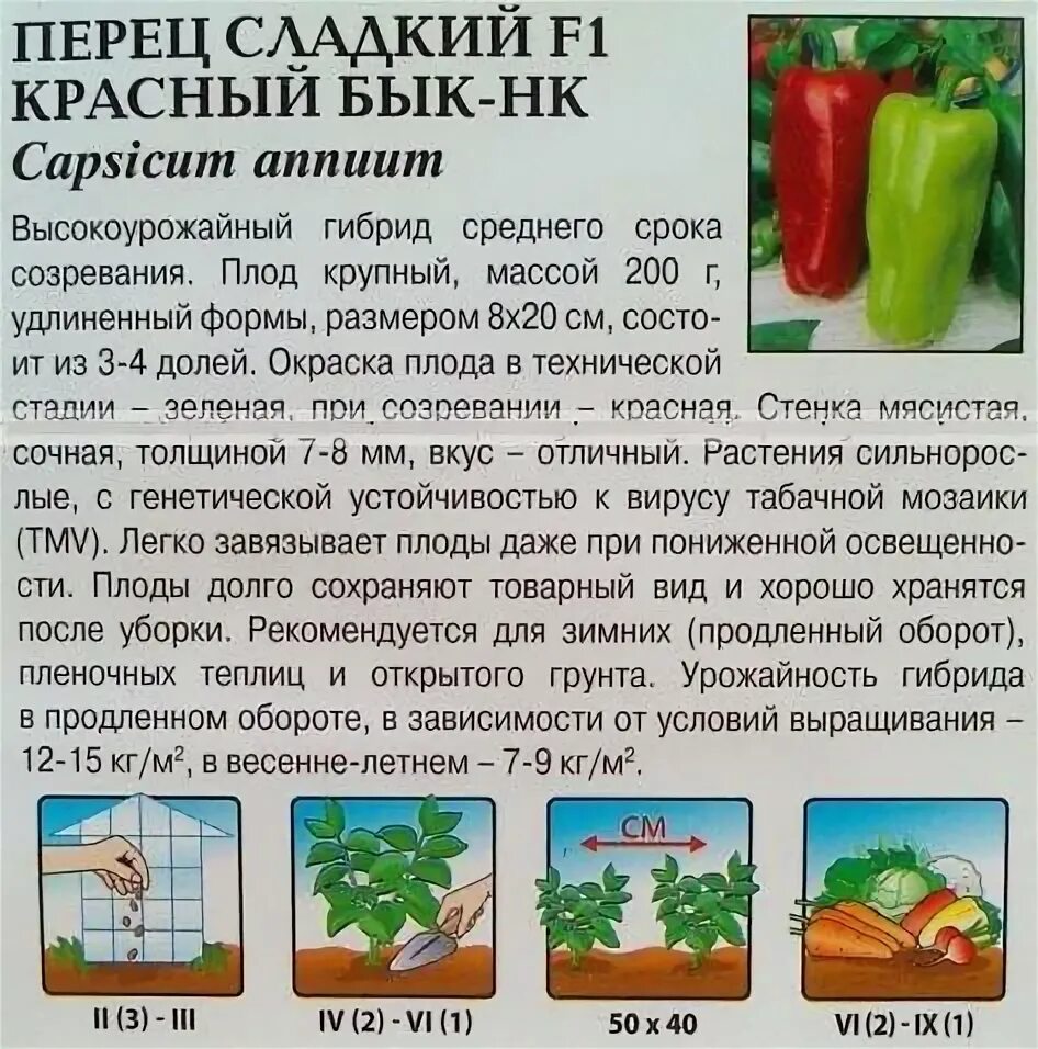 Перец Красный бык: описание сорта, фото, урожайность, отзывы