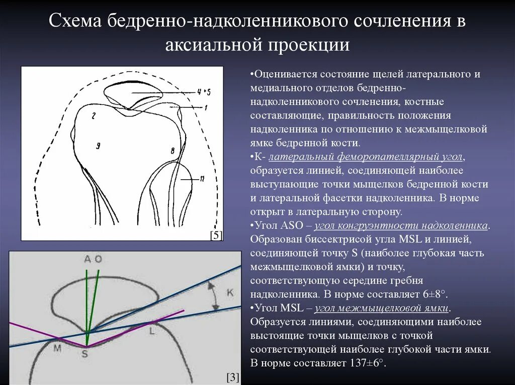 День гребня. Аксиальная проекция надколенника. Снимок надколенника в аксиальной проекции. Рентген проекция надколенника. Аксиальная проекция коленного сустава.