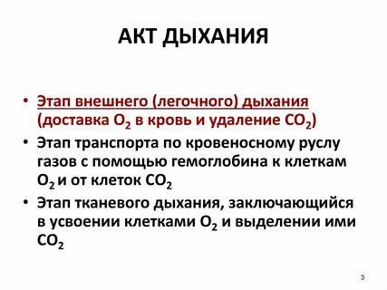2 этапа дыхания