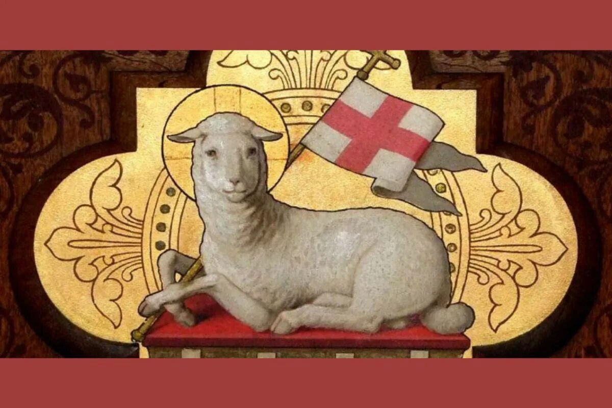 агнец божий фразеологизм. франциско де сурбаран агнец. песня агнец божий. агнец божий. агнцы божьи аргентина 2020.