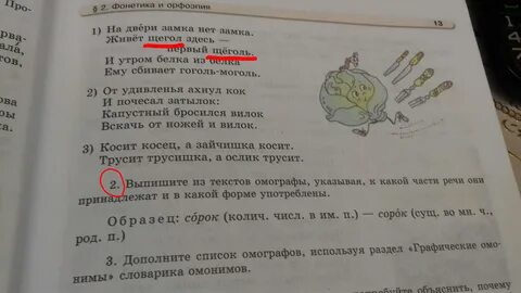 Предложения с омографами