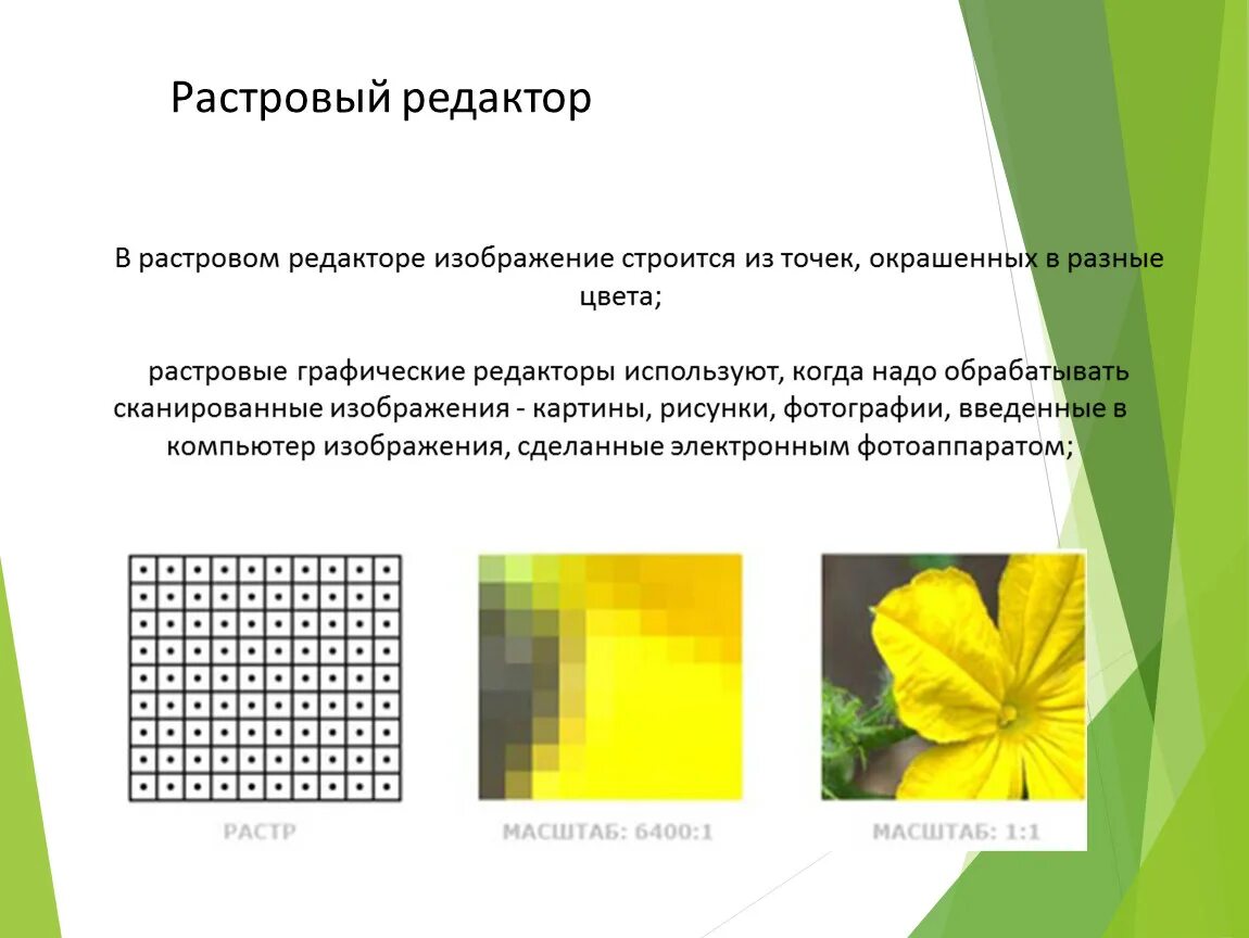 Растровыми графическими являются. Растровые редакторы. Редакторы растровой графики. Формирование растрового изображения. Изображение растрового графического редактора.