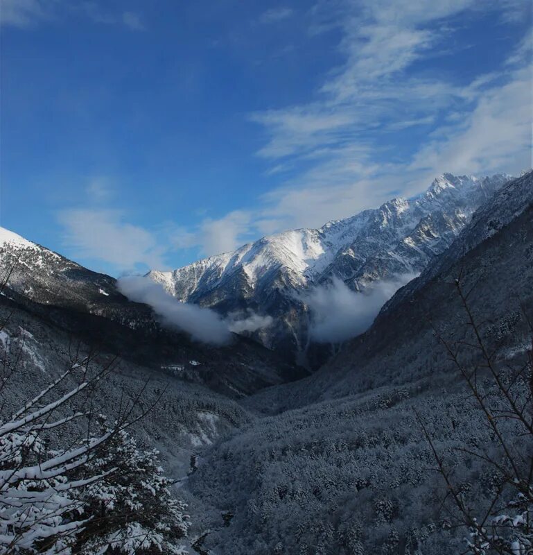 Северная Осетия Алания цей. Осетия Цейское ущелье. Цейское ущелье Осетия зимой. Гора цей Северная Осетия.