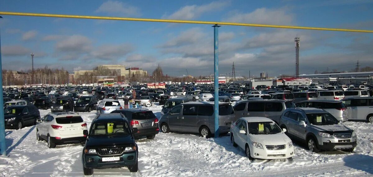 Нужна машина новосибирск. Автопрокат в новосибирске. Машины в новосибирске. Нужна помощь машиной. Срочно нужна помощь машиной для собаки.