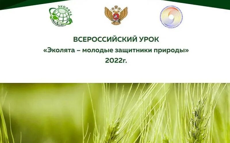 Всероссийской урок эколят. Всероссийской урок эколят