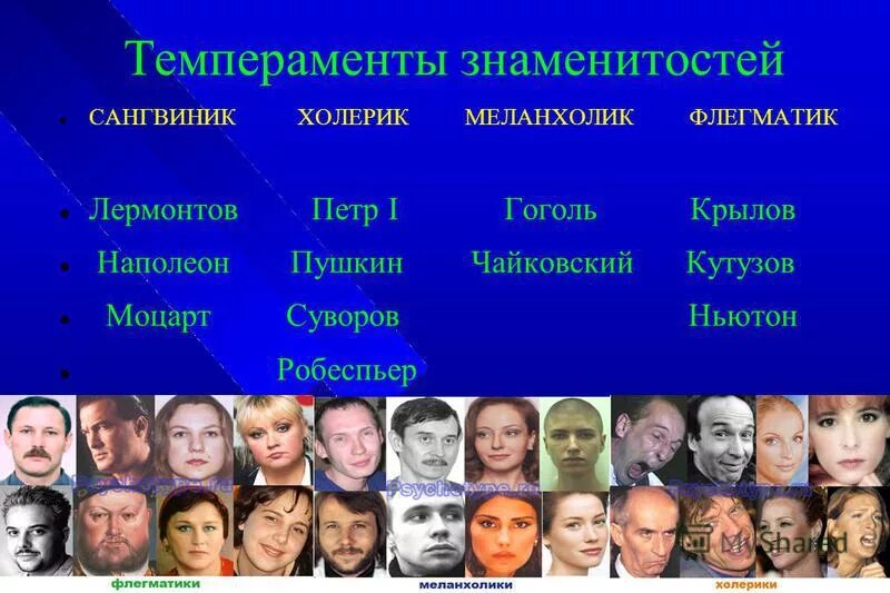 Характер людей в разных странах. Типы темперамента. типы темперамента знаменитостей. типы личности. темперамент характер личность.