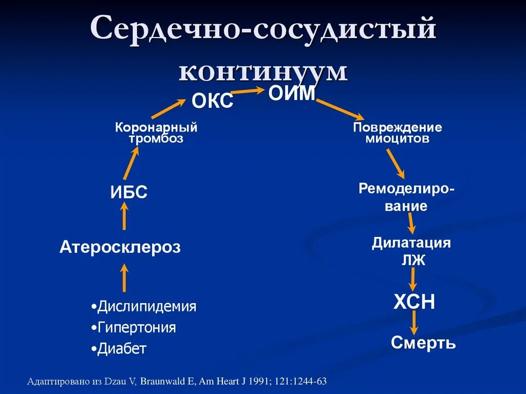 Сердечно сосудистый Континуум при ХСН. Сердечно-сосудистый Континуум атеросклероз. ХСН сердечно-сосудистый Континуум (схема). Сердечнососудистый континеум. Ибс хроническая сердечная недостаточность