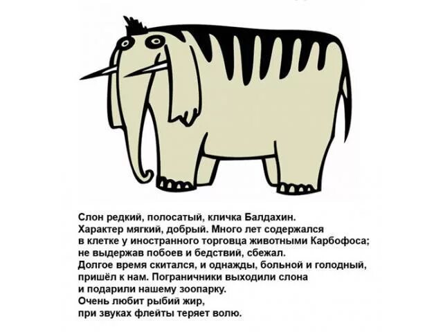 Почему надеждин слон. Следствие ведут колобки слон полосатый. полосатый слон. слон редкий полосатый. слон редкий полосатый кличка балдахин.
